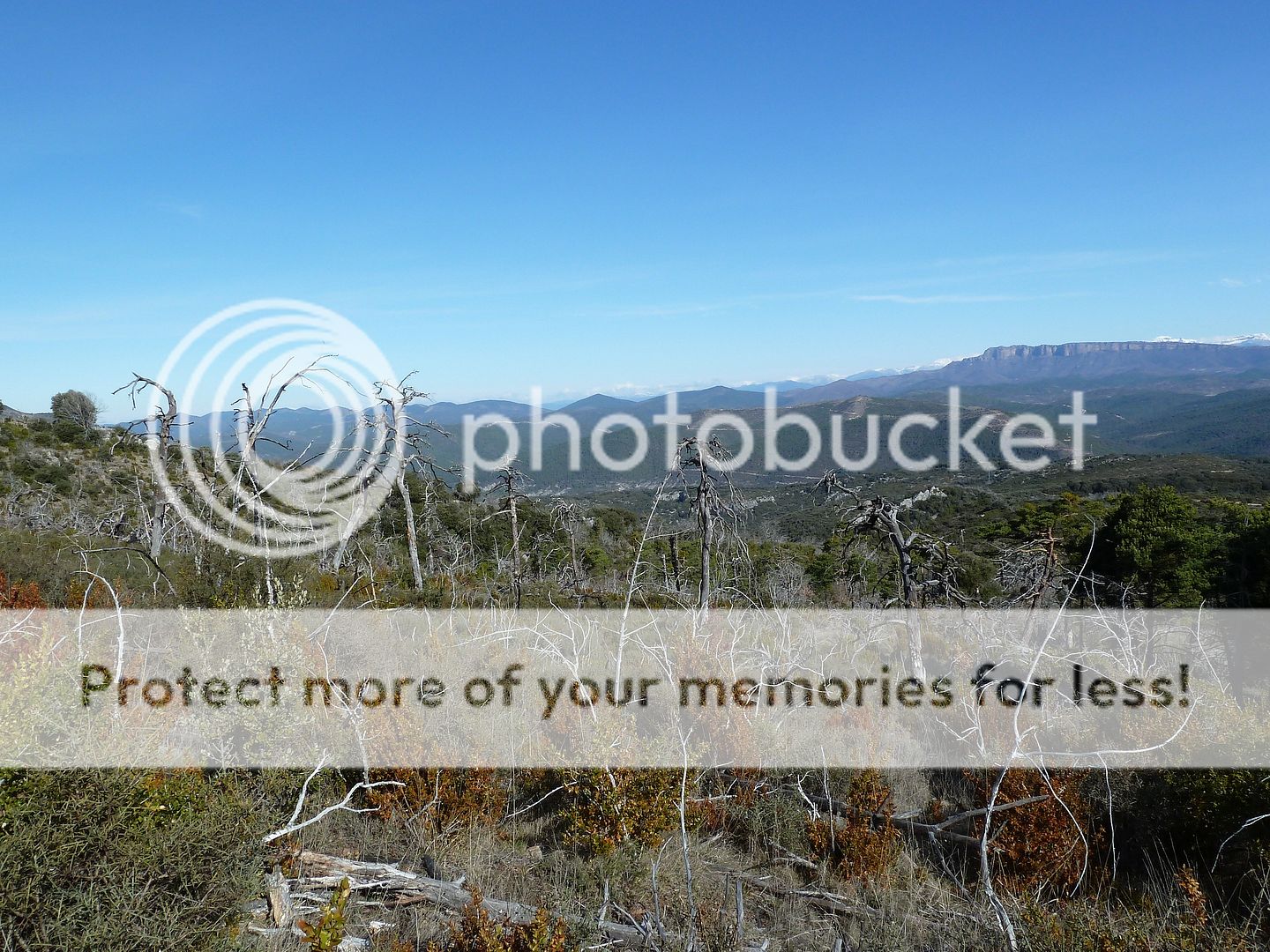 Photo Sharing and Video Hosting at Photobucket