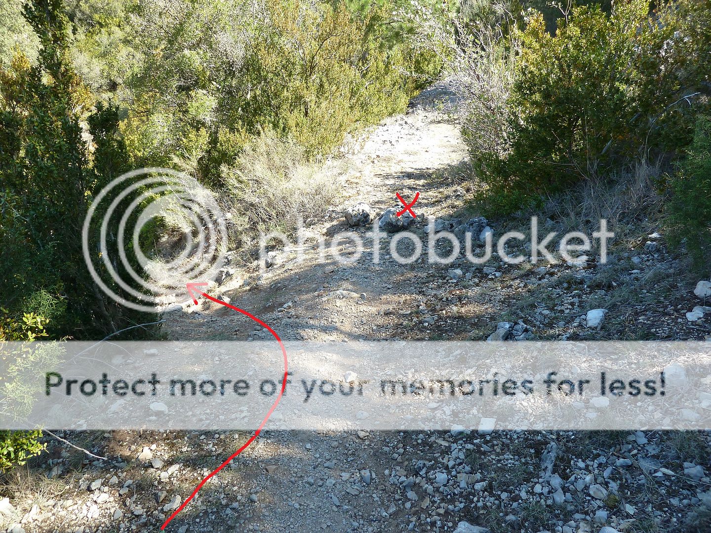 Photo Sharing and Video Hosting at Photobucket