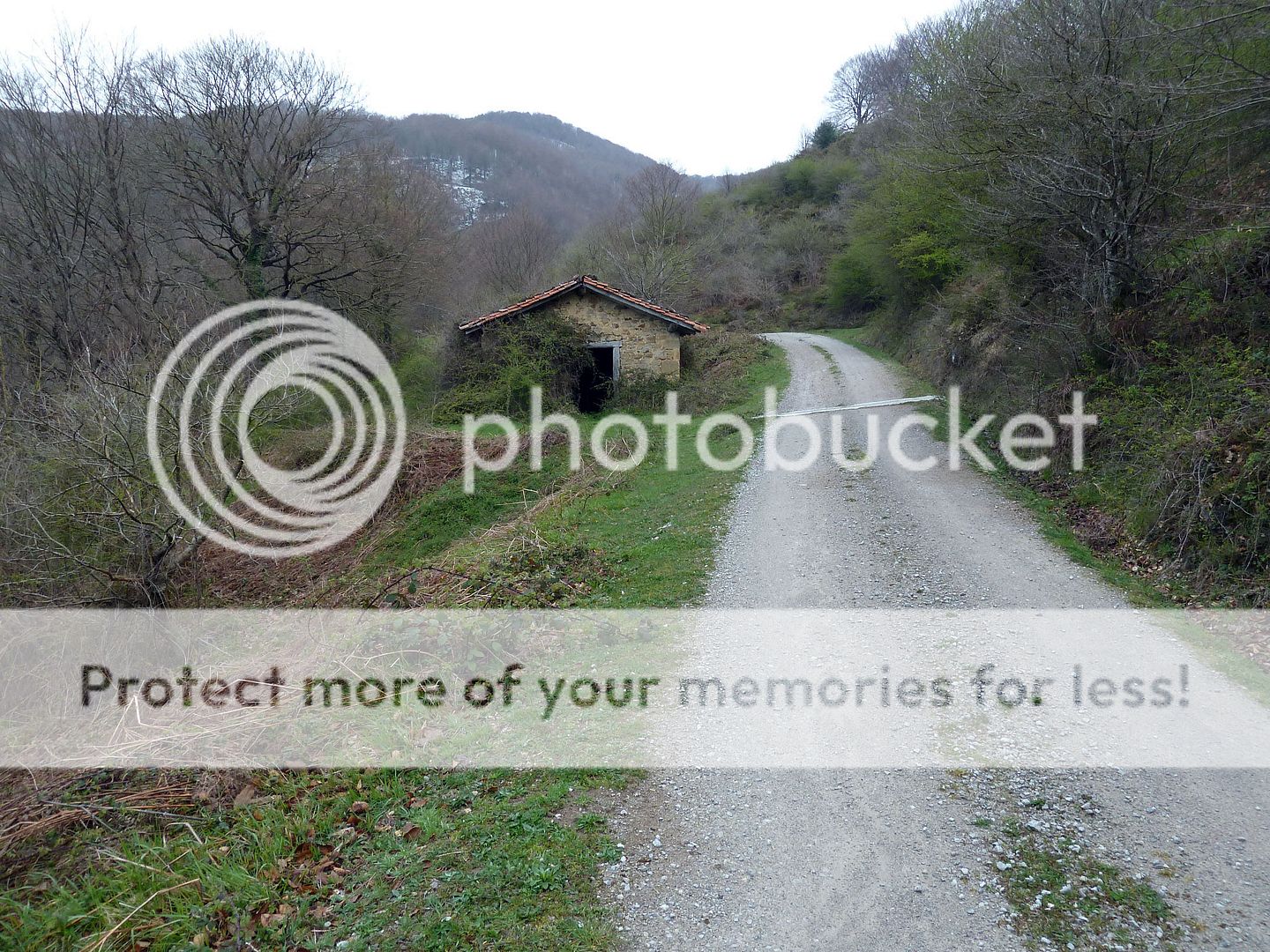 Photo Sharing and Video Hosting at Photobucket