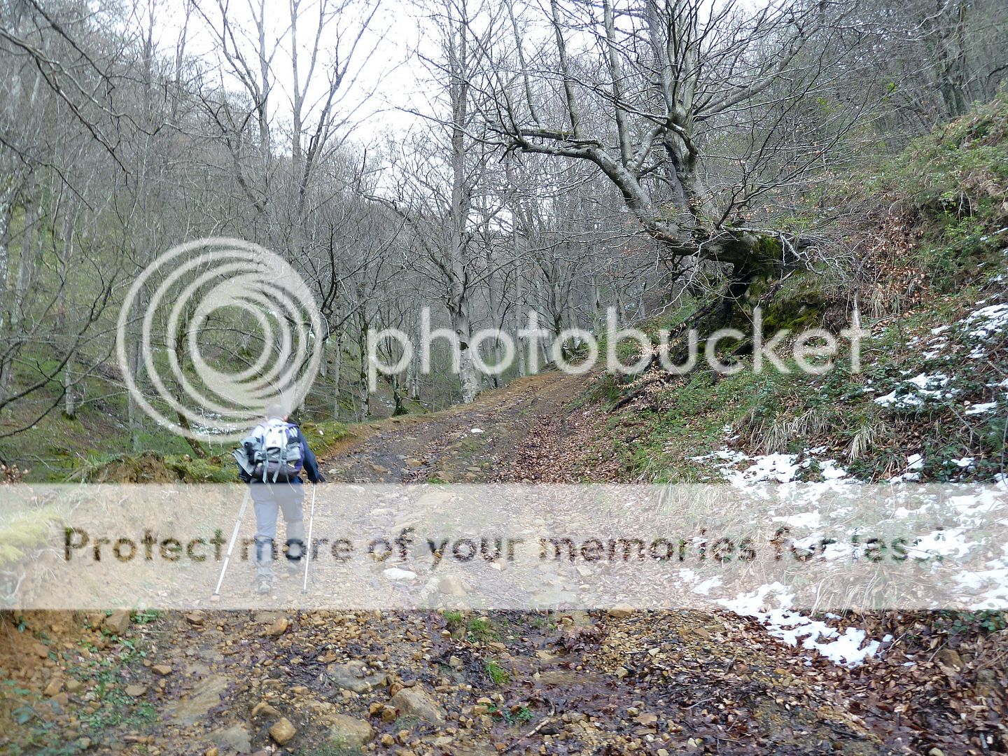 Photo Sharing and Video Hosting at Photobucket