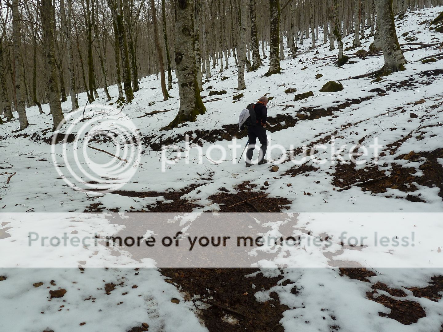 Photo Sharing and Video Hosting at Photobucket