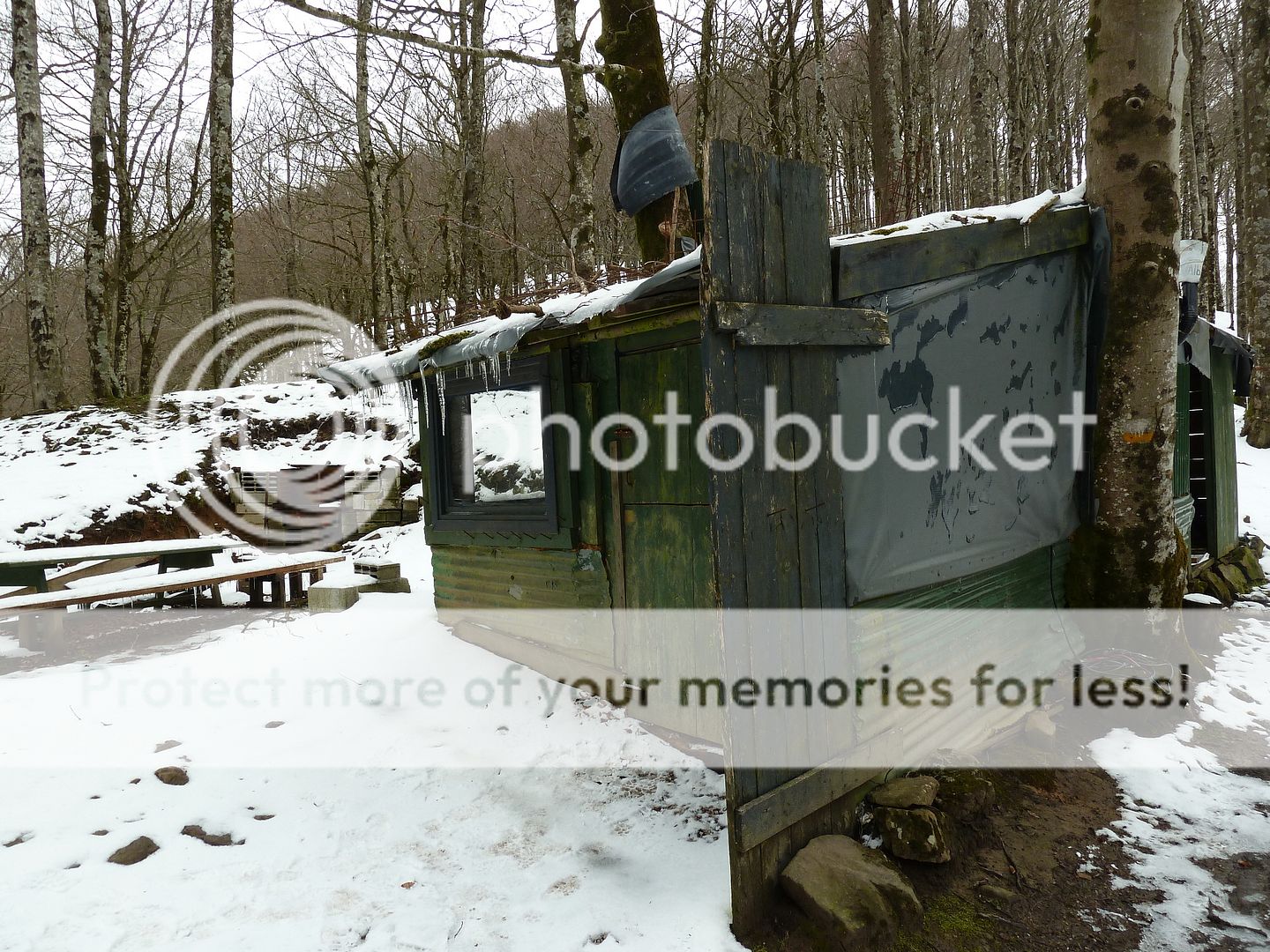 Photo Sharing and Video Hosting at Photobucket