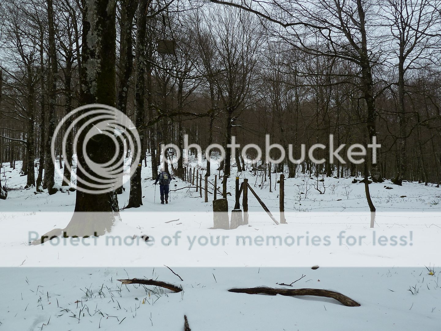 Photo Sharing and Video Hosting at Photobucket
