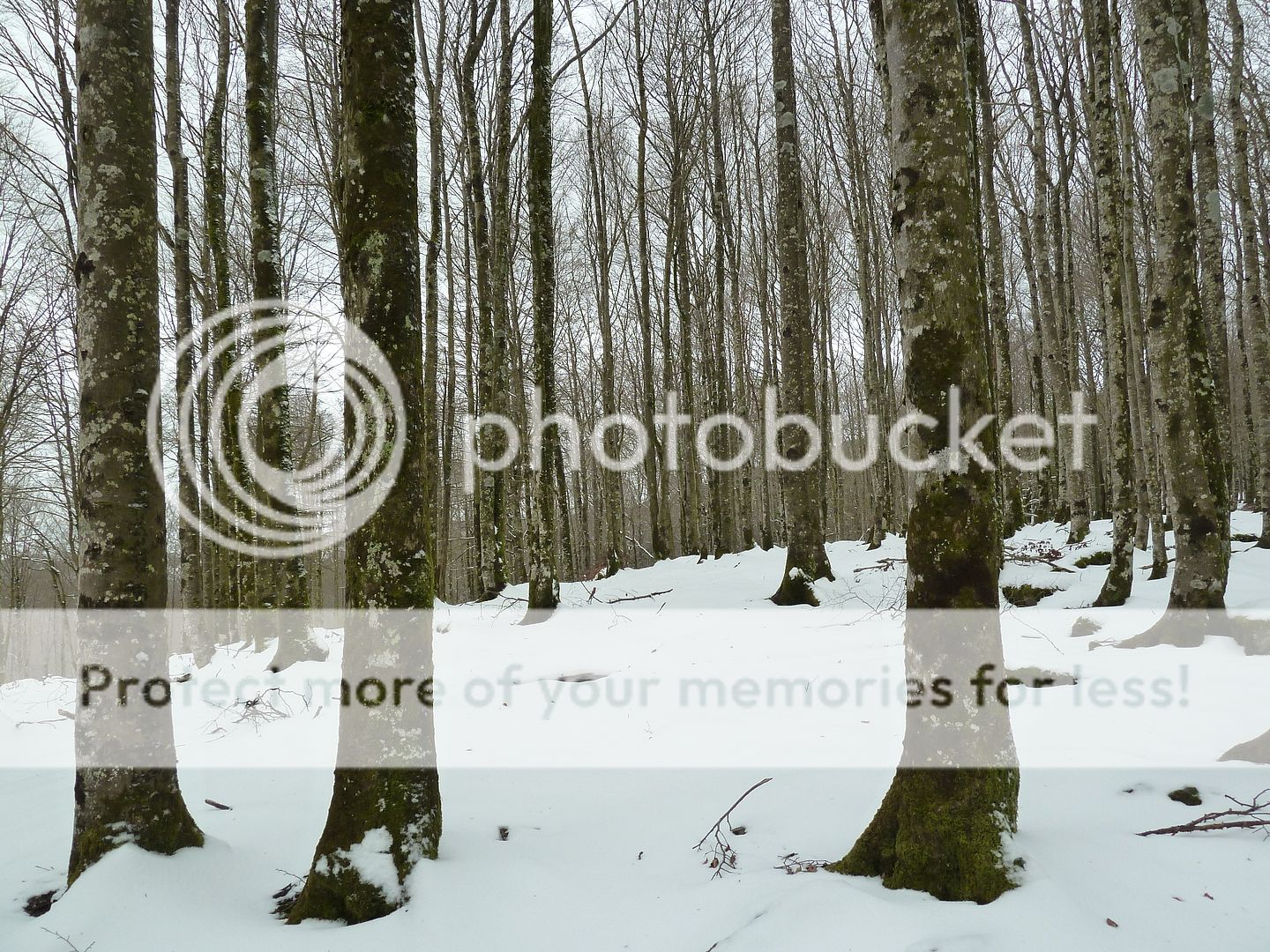 Photo Sharing and Video Hosting at Photobucket