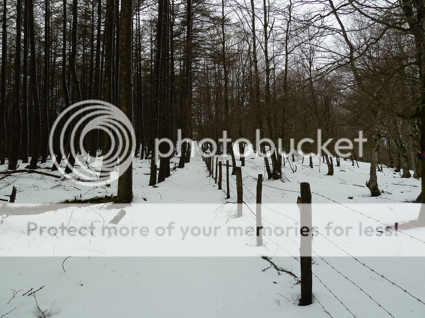 Photo Sharing and Video Hosting at Photobucket