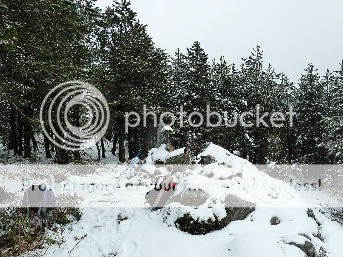 Photo Sharing and Video Hosting at Photobucket