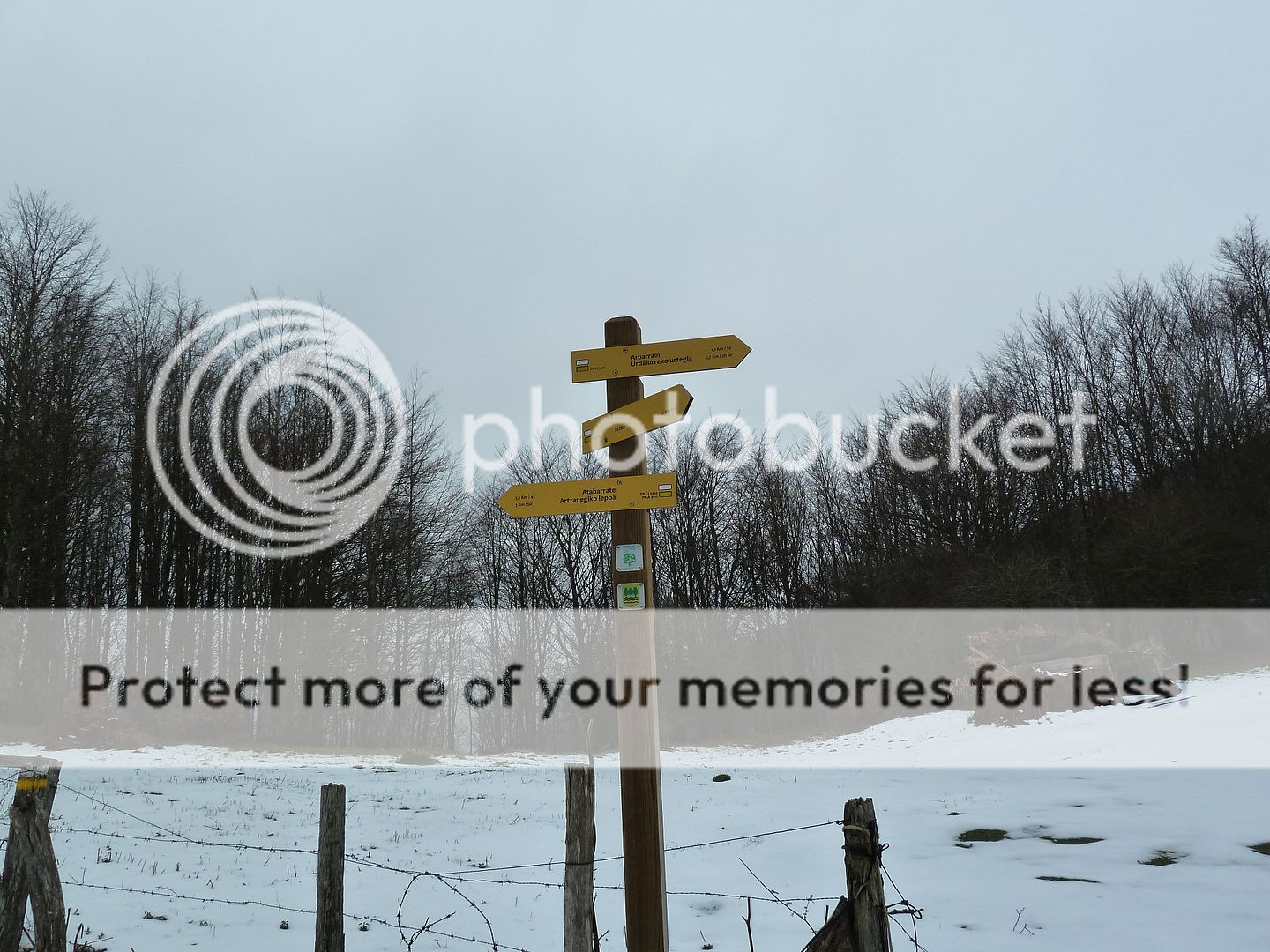 Photo Sharing and Video Hosting at Photobucket