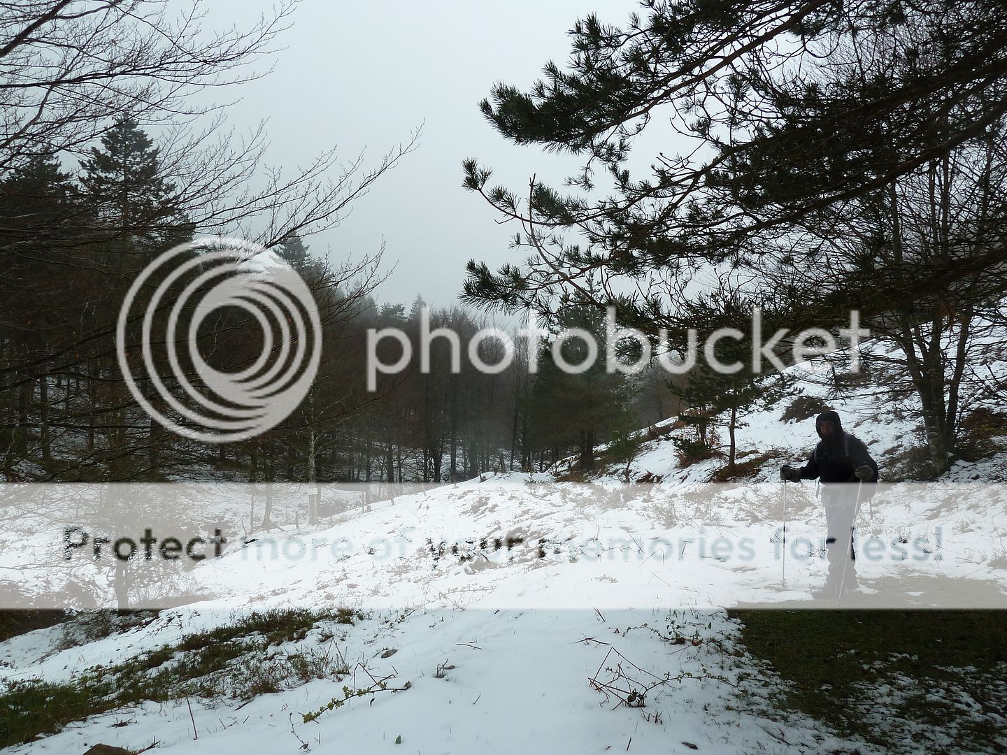 Photo Sharing and Video Hosting at Photobucket