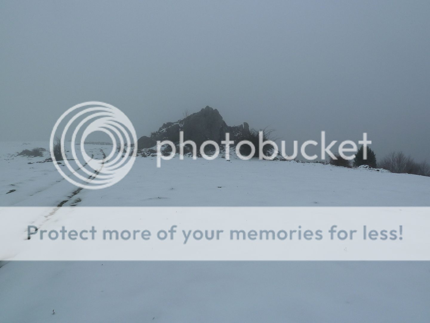Photo Sharing and Video Hosting at Photobucket