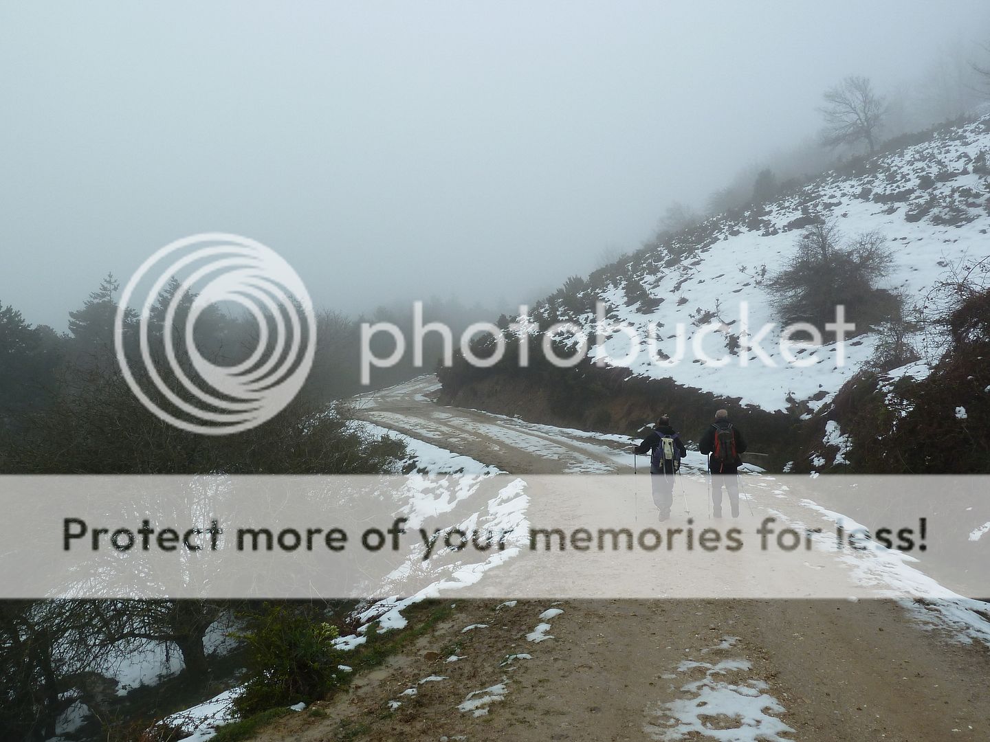 Photo Sharing and Video Hosting at Photobucket
