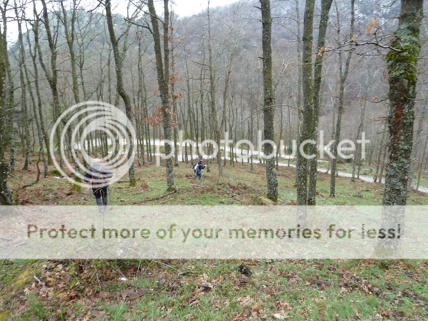 Photo Sharing and Video Hosting at Photobucket