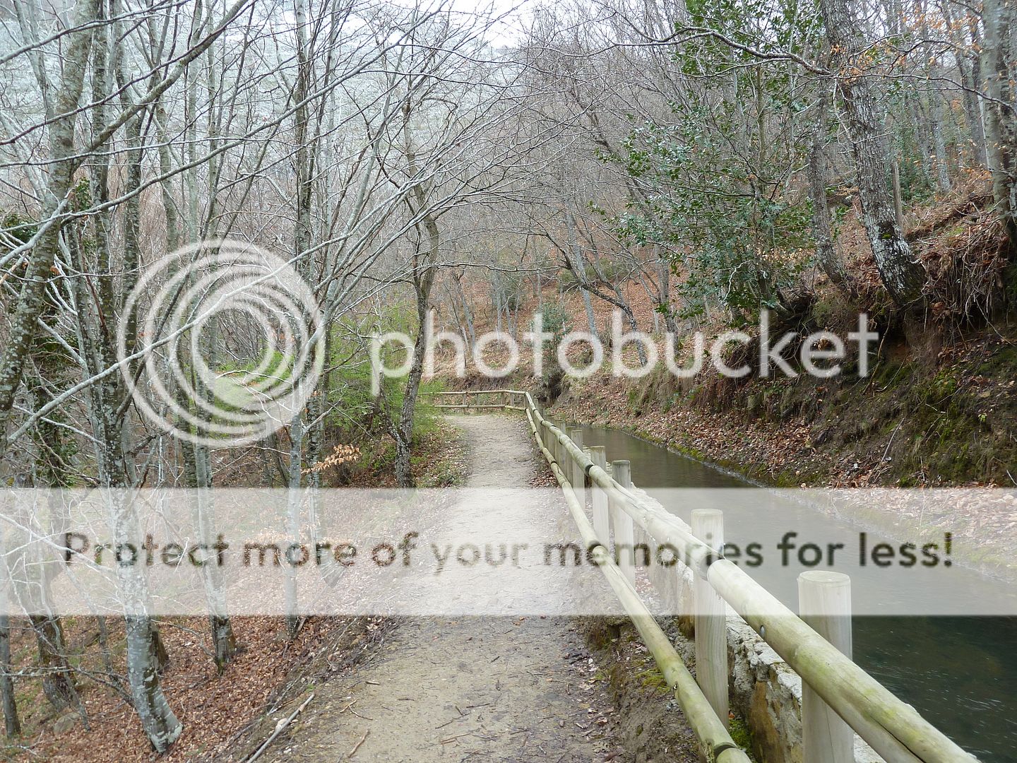 Photo Sharing and Video Hosting at Photobucket