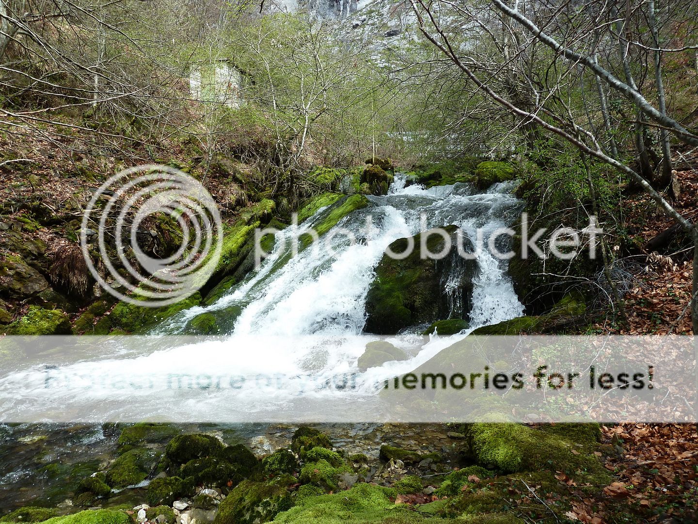 Photo Sharing and Video Hosting at Photobucket