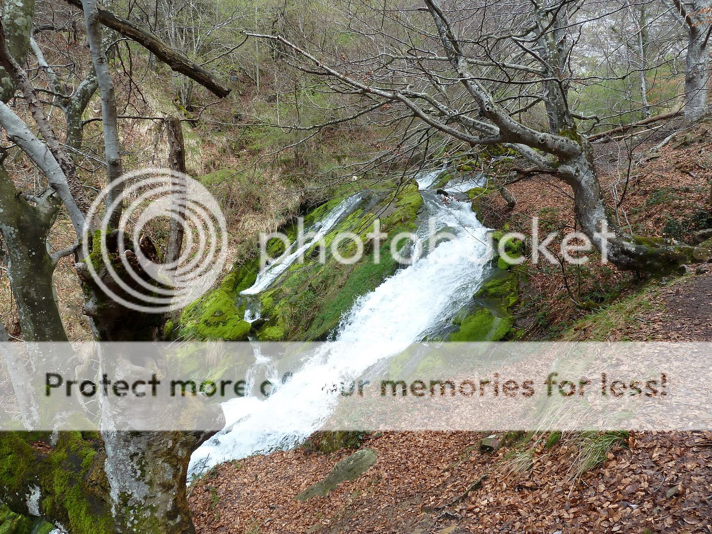 Photo Sharing and Video Hosting at Photobucket