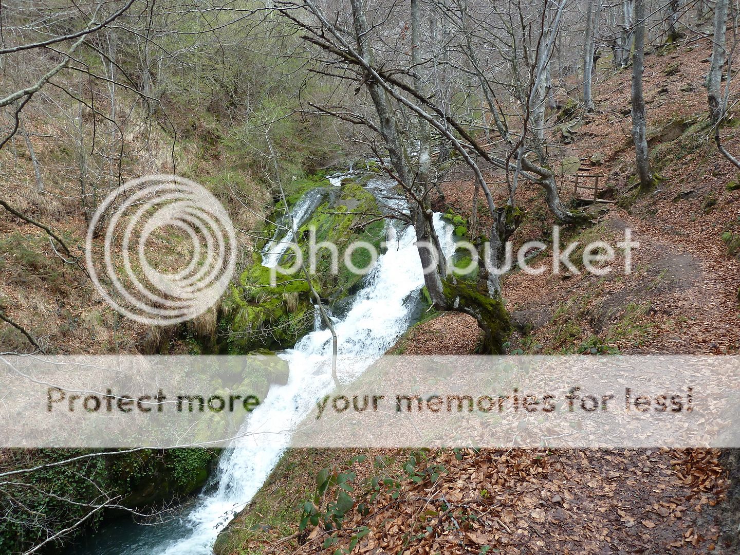 Photo Sharing and Video Hosting at Photobucket