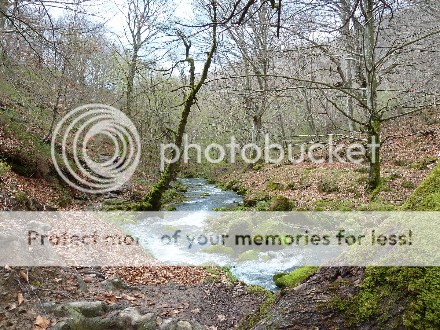 Photo Sharing and Video Hosting at Photobucket