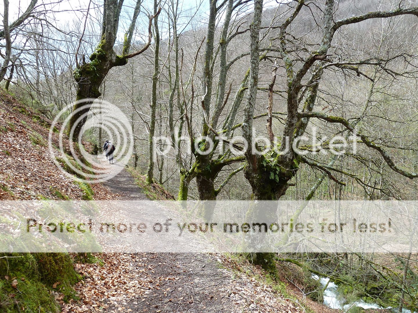 Photo Sharing and Video Hosting at Photobucket