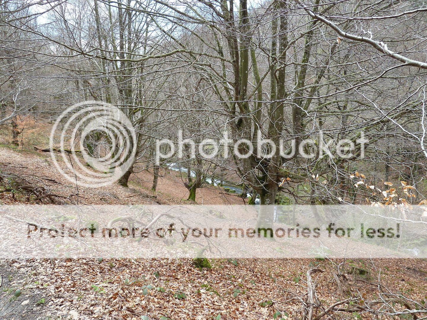 Photo Sharing and Video Hosting at Photobucket