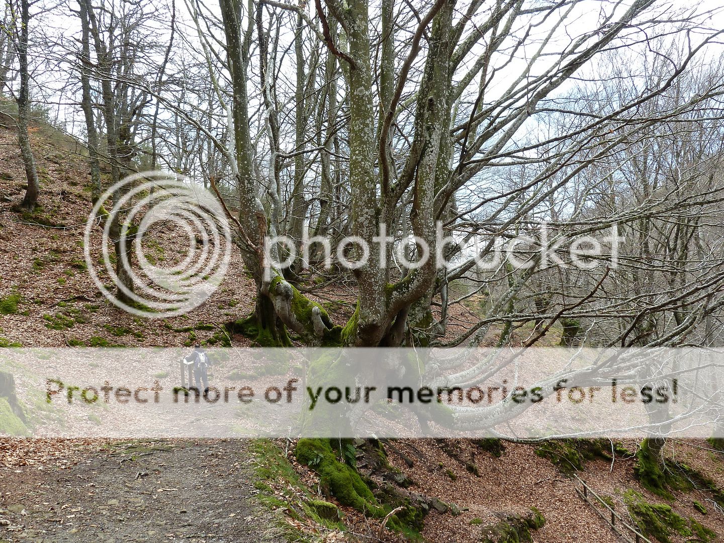 Photo Sharing and Video Hosting at Photobucket