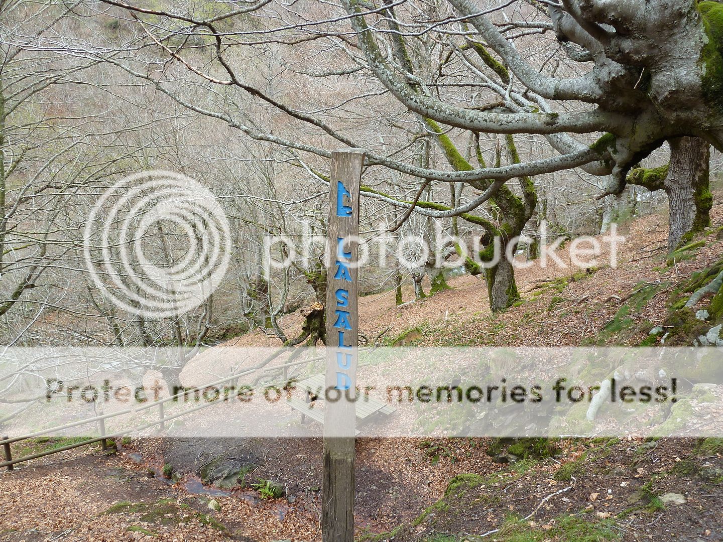 Photo Sharing and Video Hosting at Photobucket