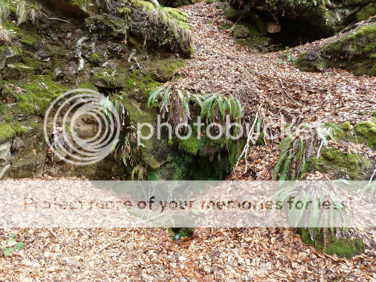 Photo Sharing and Video Hosting at Photobucket