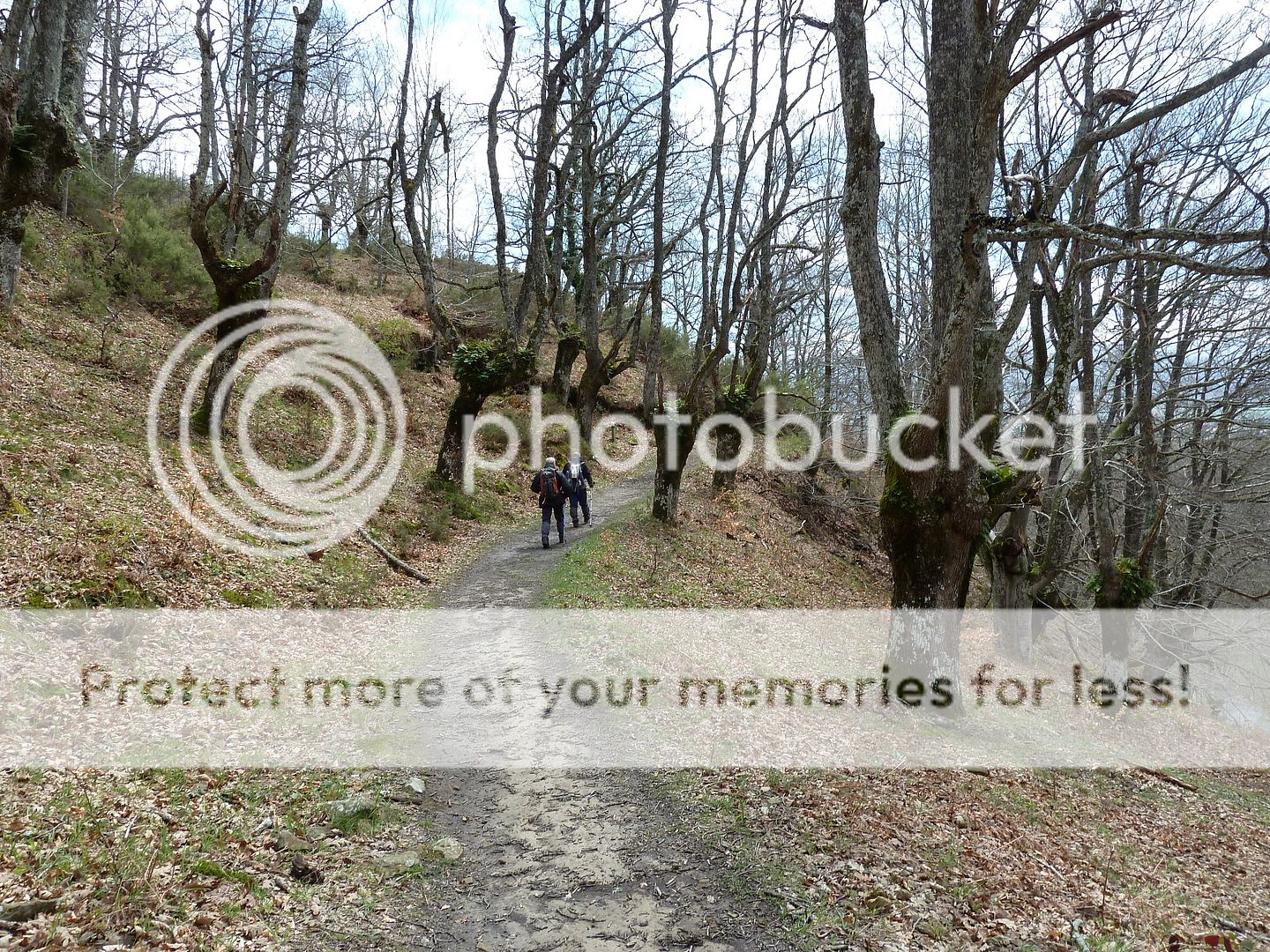 Photo Sharing and Video Hosting at Photobucket
