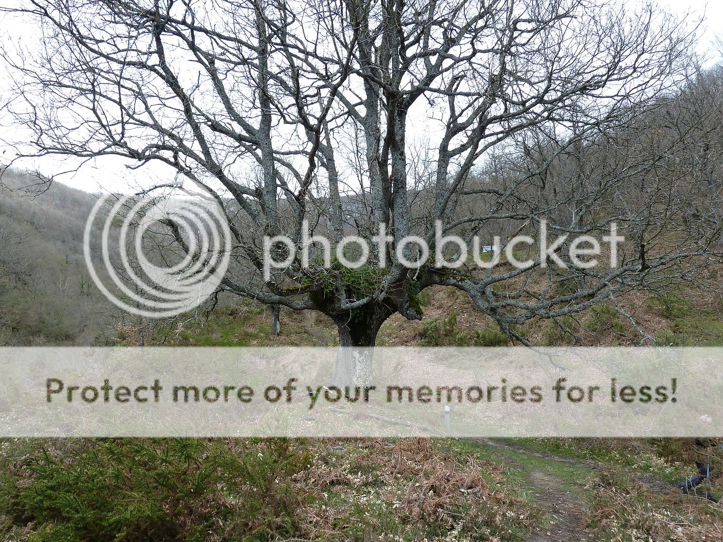 Photo Sharing and Video Hosting at Photobucket
