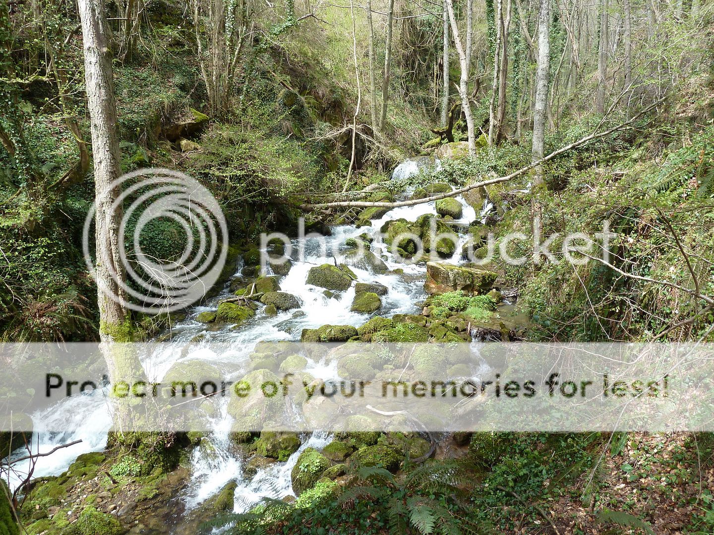 Photo Sharing and Video Hosting at Photobucket