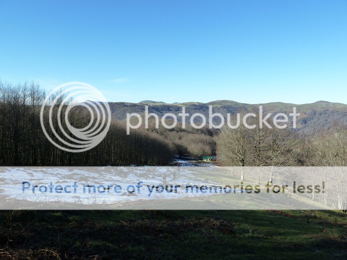 Photo Sharing and Video Hosting at Photobucket