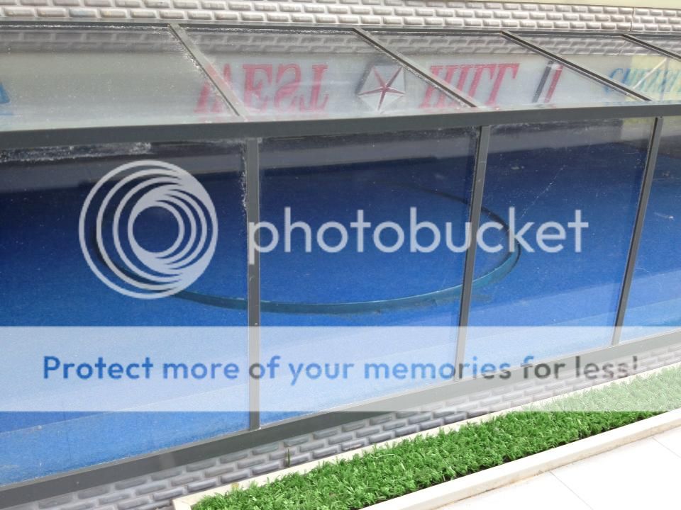 998929_10151769416993921_1306478675_n_zp