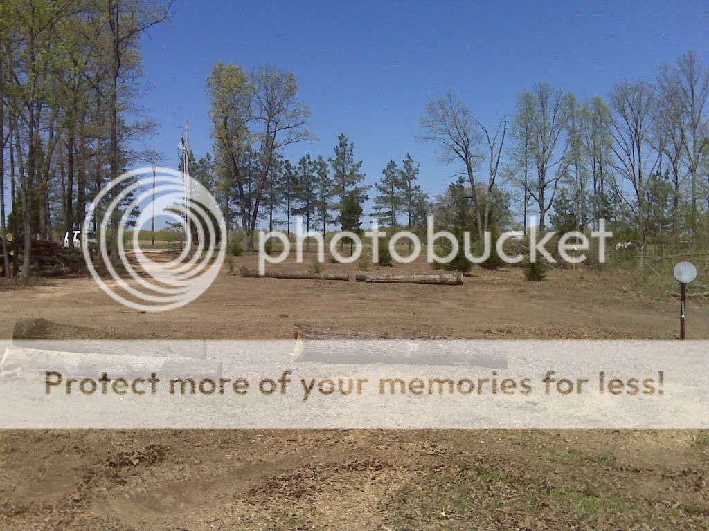 Question: what to use on "skinned" trees? - Homesteading Questions