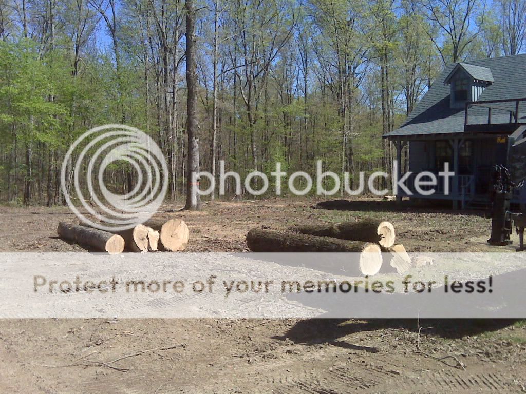 Question: what to use on "skinned" trees? - Homesteading Questions