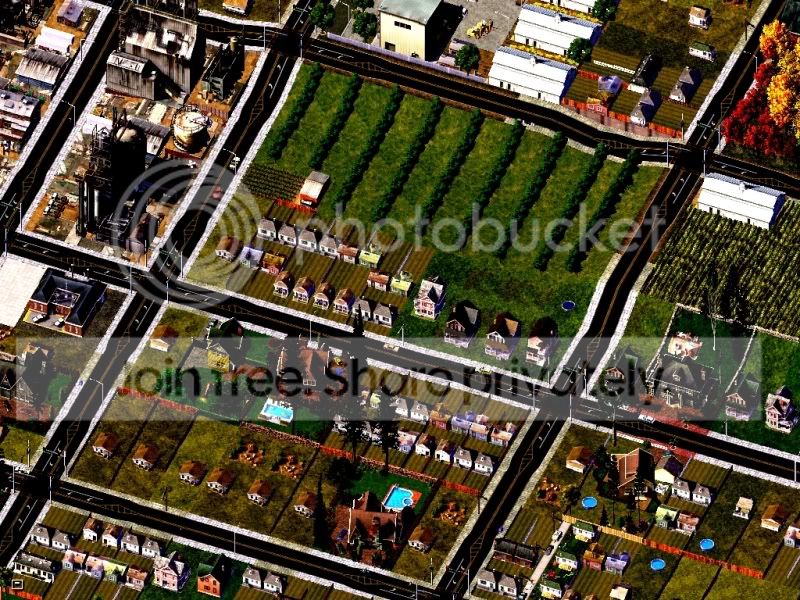 cultanup3pic5.jpg